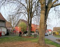 2025-04-11 - Arbeitseinsatz Thie- und Kirchplatz (05)